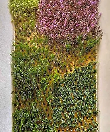 Отель Nature By Raidom Аликанте